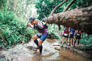 BIB: 
                            <button type="button" onclick="openModal(25375519)" class="btn btn-primary btn-sm float-right btn-popup" data-toggle="modal" data-target=".modal-high-quality">
                        <i class="fas fa-shopping-cart"></i> Add to Cart
                    </button>
                                            <button type="button" onclick="isThisMe(25375519, true)" class="btn btn-success btn-sm float-right btn-popup btn-isme hidden" data-toggle="tooltip" data-placement="bottom" title="นี่คือรูปของคุณใช่ไหม คลิกที่นี่เพื่อเอาเข้าอัลบั้ม">
                        <i class="fas fa-plus"></i> Add to album
                    </button>
                    <button type="button" onclick="isThisMe(25375519, false)" class="btn btn-warning btn-sm float-right btn-popup btn-isnotme hidden">
                        <i class="fas fa-ban"></i> Remove from album
                    </button>